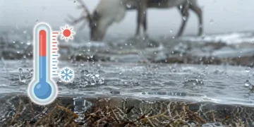 Na Antarktydzie zamiast śniegu pada deszcz. Klimat oszalał