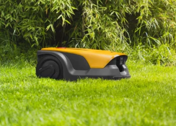 Tak robot koszący widzi twój ogród. Lepiej wybierz dobrze