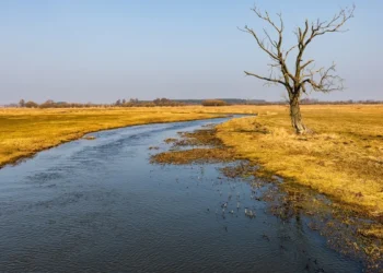 Woda wypełni odkrywki w kopalni. Boją się, że zabraknie jej w rzece