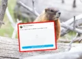 Nie ma kasy na badania, więc poszli na portal dla dorosłych. Tak naukowcy ratują swój projekt