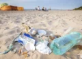 System kaucyjny pozamiatał plaże. Do szczęścia brakuje jednego