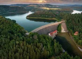 Jezioro zniknęło, ryby padły. Pilchowice teraz bada prokuratura