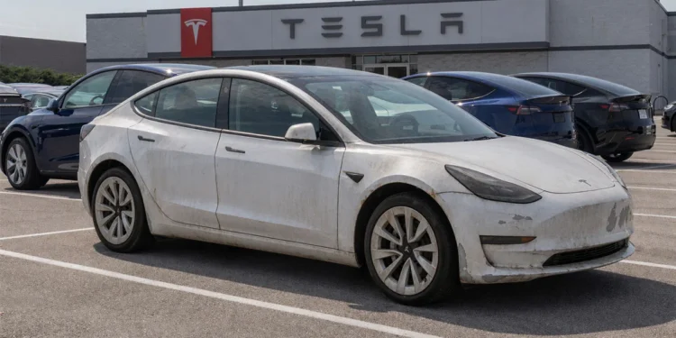 Musk przyznał, że władował w Tesle zbyt słabe komputery. „Groteska”