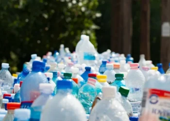 Urząd wyrzuci butelkę i zaczynają się schody. Kaucja to przecież publiczne pieniądze