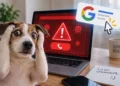 Uwaga na złośliwa reklamę od Google’a. Potrafi oszukać nawet zorientowanego użytkownika