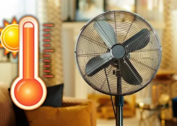 Wentylator jak piekarnik z termoobiegiem? Sprawdzamy, co na to nauka