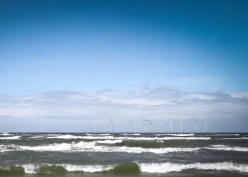 Wchodzisz na plażę, a tu wiatraki. Mieliśmy ich nie widzieć, wyszło jak zawsze