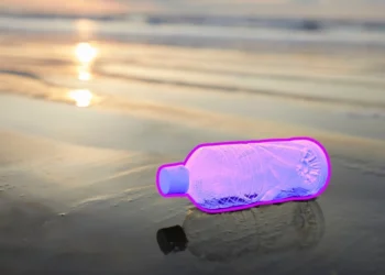 Odkryli nieoczekiwanego sprzymierzeńca plastiku. Działa jak tarcza